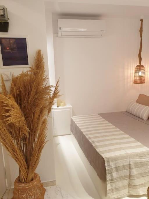 Amalthea Guest House Koszalin Eksteriør bilde